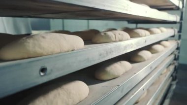 Esnaf fırınında ekmek hamurunu düzeltiyorum. Ekmek yapma sürecini gösteren, profesyonel bir fırının raflarında sabitleyen ekmek hamuru sıraları