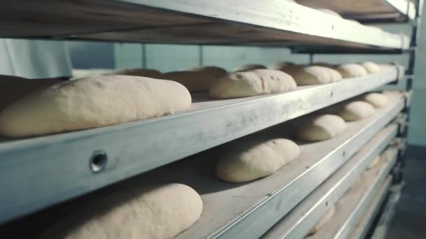 Proofing Chleb Ciasto Stojakach Piekarni Artisan Rzędy Ciasta Chlebowego Półkach — Wideo stockowe
