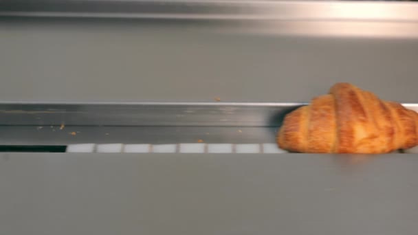 Färsk Bakad Croissant Transportband Gyllenbrun Croissant Kylning Transportband Stål — Stockvideo