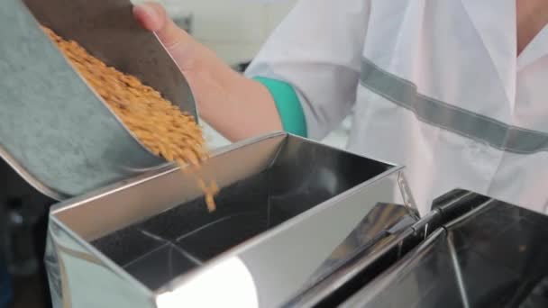 ラボで品質分析のために穀物を注ぐサイエントロジストの研究室での穀物分析 — ストック動画