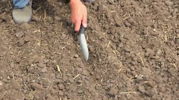 与工具一起对田里的土壤质量进行检测 对土壤质量进行近距离检测 — 图库视频影像