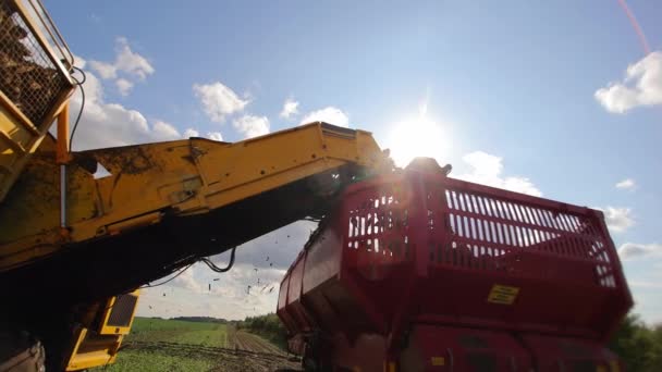 Maschinen Für Die Zuckerrübenernte Auf Einem Landwirtschaftlichen Feld Landwirtschaftliche Ernte — Stockvideo
