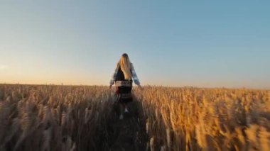 Buğday Tarlasında Yürüyen Kadın. Geleneksel elbiseli kadın şafak vakti buğday tarlasında yürüyor.