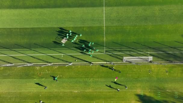 Yukarıdan Futbol Eğitim Oturumu Antrenman Sırasında Ağaçlarla Çevrili Yeşil Sahadaki — Stok video
