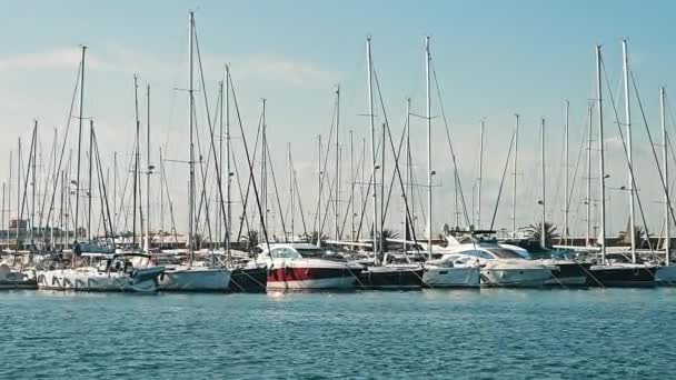 Sailboats Moored Marina Sailboats Yachts Docked Serene Marina Clear Skies — Stock Video