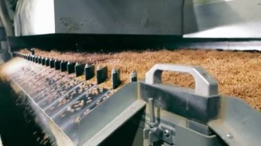 Eylemdeki Otomatik Tahıl İşleme Makinesi, Buğday Sıralama Endüstriyel Tahıl İşleme Ekipmanı.