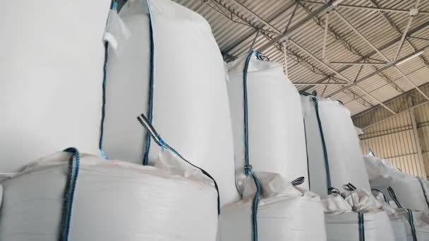 貯蔵倉庫の農産物の大きいサック 貯蔵施設に穀物や農産物の積み重ねられた白い袋 — ストック動画