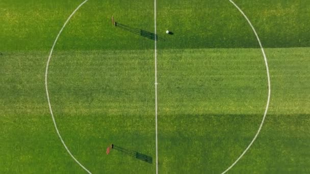 Flygfoto Över Fotbollsplan Med Träningsutrustning Drönare Syn Fotbollsplan Med Målstolpar — Stockvideo