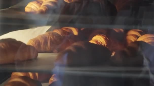 Croissant Appena Sfornati Nel Forno Processo Produzione Del Forno Croissant — Video Stock