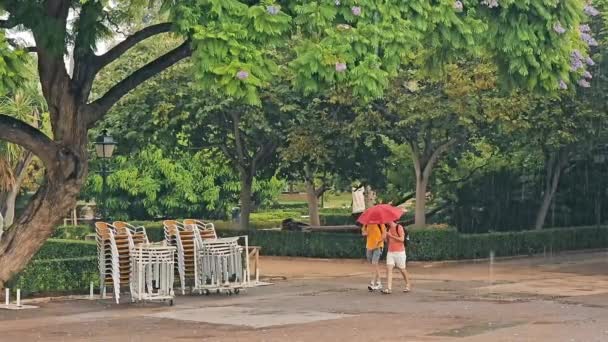 Esik Eső Parkban Két Férfi Esernyő Alatt Sétál Parkban Esőben — Stock videók
