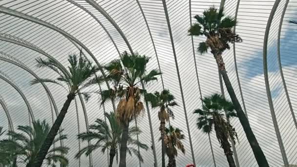 Tropical Canopy Φοίνικες Υπό Σύγχρονη Αρχιτεκτονική Ενός Κυρτού Θερμοκηπίου Γυαλί — Αρχείο Βίντεο