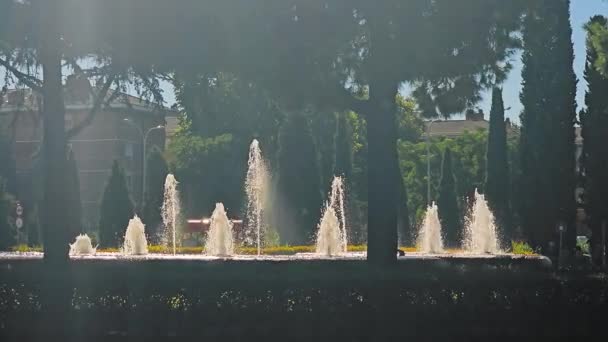 Sonnenbeschienene Springbrunnen Und Silhouetted Trees Reihe Von Springbrunnen Die Von — Stockvideo
