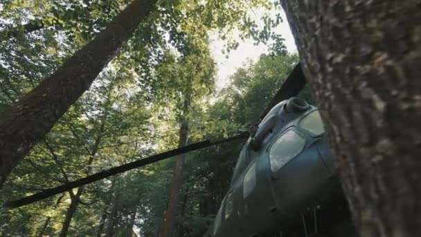 在森林中被遗弃的直升机 一架军用直升机 部分被茂密森林中的树木遮掩着 其旋翼叶片伸出来 — 图库视频影像