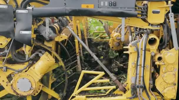 Mähdrescher Zur Ernte Von Zuckerrüben Detailaufnahme Eines Mähdreschers Auf Einem — Stockvideo