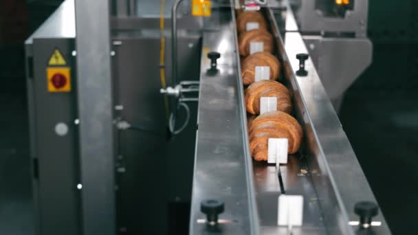 自動化されたベーカリー生産ライン 産業ベーカリーのコンベヤーの新しいローブ — ストック動画