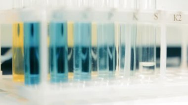 Renkli kimyasallarla laboratuvar test tüpleri, laboratuvar ortamında çeşitli renklerde kimyasallar bulunan test tüplerine yakın çekim.