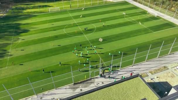 Vue Aérienne Entraînement Football Pratique Équipe Sur Green Field Une — Video