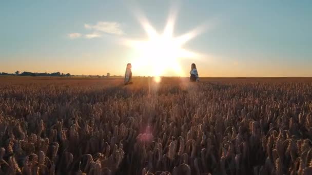 Sunset Serenity Golden Wheat Field Siluety Dvou Lidí Obrovském Pšeničném — Stock video