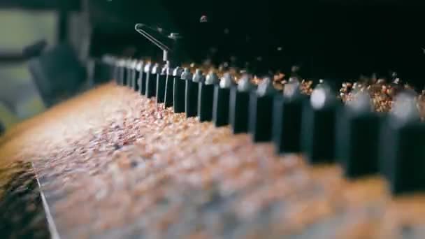 Silo Daki Otomatik Tahıl Dağıtımı Tahıllar Bir Silo Içinde Mekanik — Stok video