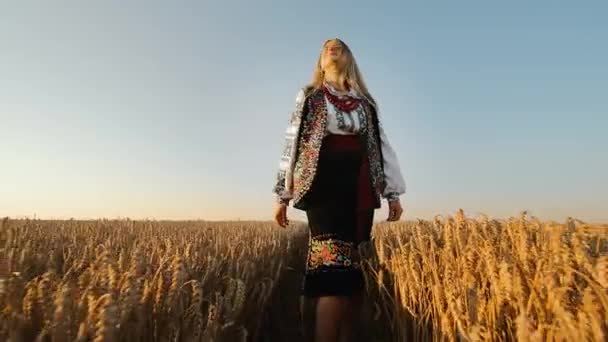 Vrouw Traditionele Oekraïense Jurk Gouden Tarweveld Bij Zonsondergang Jonge Vrouw — Stockvideo