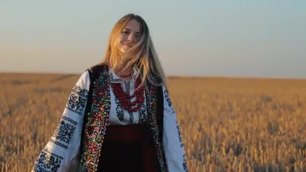 Ukrayna Ulusal Elbisesiyle Buğday Tarlasında Bir Kız Gün Batımında Tarlada — Stok video