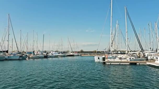 Heitere Marina Mit Vertäfelten Segelbooten Segelboote Die Einem Ruhigen Yachthafen — Stockvideo