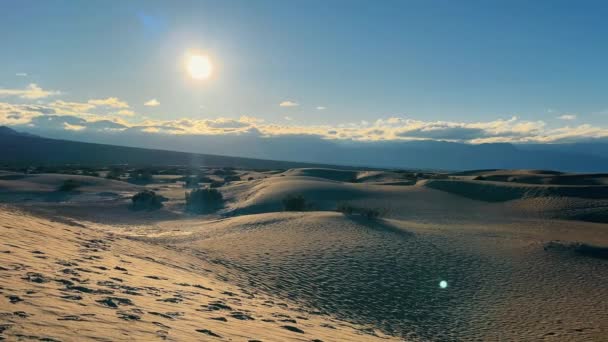 メスキート フラット サンド デューン上の夕日 太陽はメスキート フラット サンド デューンに降り バレーのテクスチャーされた砂の上に長い影を投げかけます — ストック動画