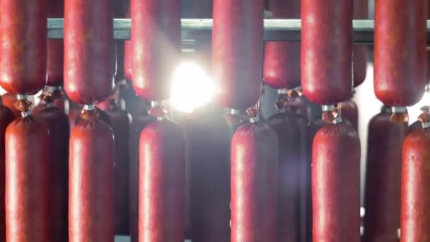Sunlit Sausages Curing Smokehouse Sonnenlicht Filtert Durch Reihen Roter Würste — Stockvideo