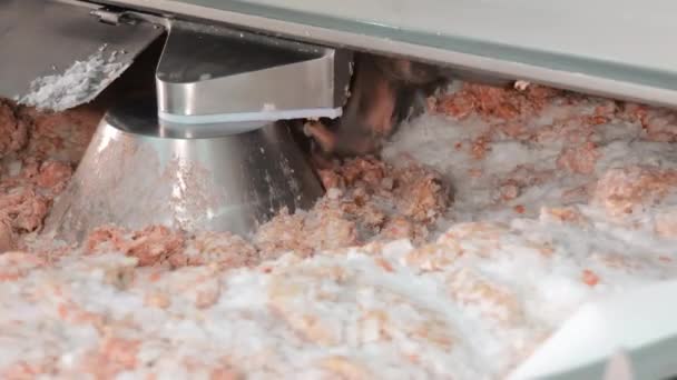 산업용 고기와 고기와 얼음의 혼합을 가공하는 산업용 소시지 제조를위한 혼합물을 — 비디오