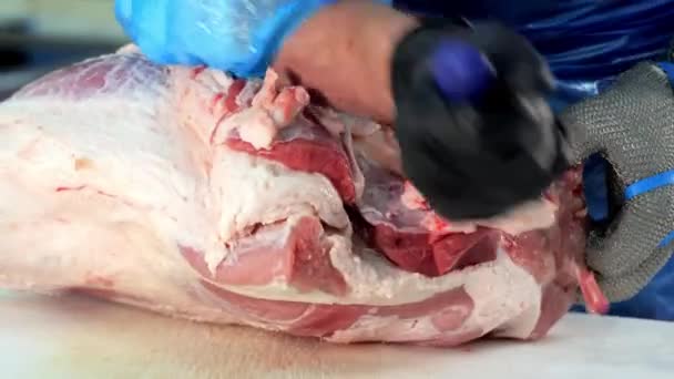 Przycinanie Mięsa Wieprzowego Nożem Zbliżenie Rąk Rzeźników Fachowo Przycinających Tłuszcz — Wideo stockowe