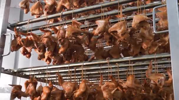 Patos Ahumados Bastidores Industriales Procesamiento Alimentos Filas Patos Ahumados Color — Vídeos de Stock