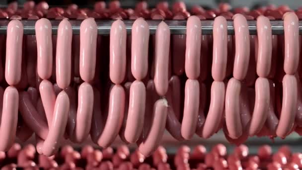 Sausages Curing Production Line Fresh Sausages Curing Production Line — Stock Video