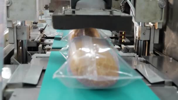 Automated Food Packaging Line Detailní Záběr Párků Balených Průmyslových Strojích — Stock video