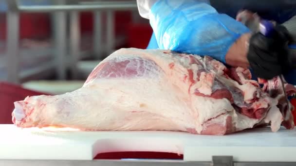 Профессиональный Мясник Подстригающий Свинину Мясник Синих Перчатках Вырезающий Свиную Ногу — стоковое видео