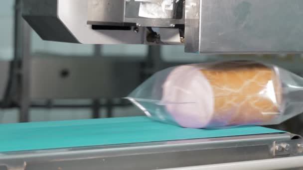 Processo Vedação Produtos Embalados Carne Máquina Embalagem Produtos Carne Vedação — Vídeo de Stock