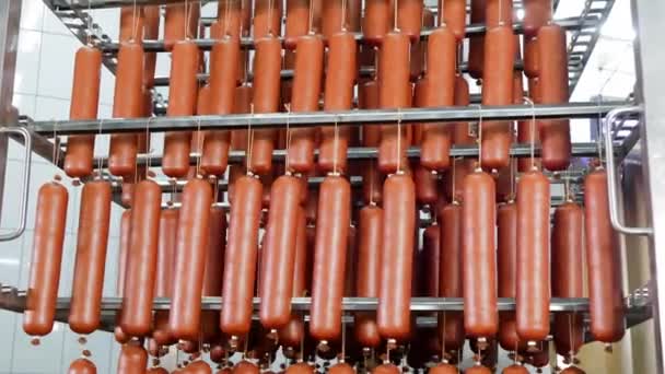 Array Sausages Cooling Meat Processing Facility Ett Nät Gnistrande Korv — Stockvideo