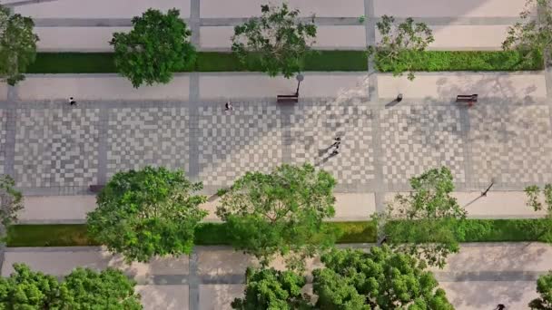 Aerial View Gyalogosok Tiled Pathway Dubai Felülnézetből Emberek Sétálnak Egy — Stock videók