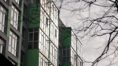 Yeşil Aksanlı Modern Bina, Yansıtıcı pencereler ve çıplak ağaç dallarıyla çerçevelenmiş yeşil çerçeveli çağdaş bina cephesi