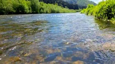 Rocky Riverbed 'in sualtı görüntüsü, kayalık bir nehir yatağının açık sualtı görüntüsü, dibe dağılmış taş ve çakıl taşlarını gösteriyor..