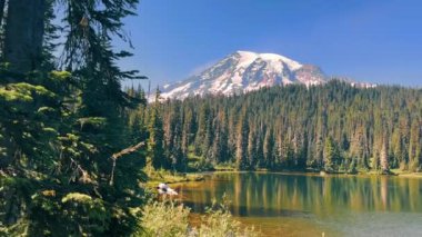 Rainier Dağı karla kaplı dağ ormanla çevrili sakin gölü yansıtıyor. Karla kaplı görkemli bir dağ, kıyı boyunca uzanan yüksek yeşil ağaçlarla sakin bir göle yansıyor.