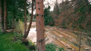 Dağlardaki doğa inanılmazdır. Uçurumdan nehrin manzarası ve dağlık bölgedeki sonbahar ormanı.