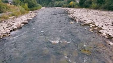 Rocky Nehri Ormanda akıyor, sakin bir nehir çakıllı kıyılar ve yemyeşil ağaçlarla çevrili pürüzsüz kayaların üzerinden durmadan akıyor.,