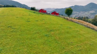 İki kırmızı Chalet ve tahta telli tepe manzarası. İki kırmızı ahırı ve kırsal bir ahşap çitle çevrili yalnız bir ağacı olan geniş yeşil bir yamaç.