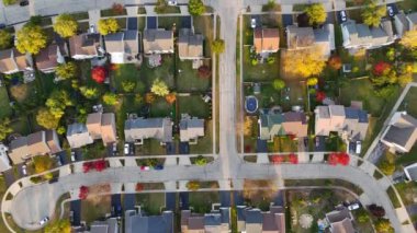 Amerika Birleşik Devletleri 'nin Illinois eyaletinde bir köy olan Sonbahar Renkleri ve Ayrı Evleri ile Havadan Görünümlü Resimli Resimli Sokak.