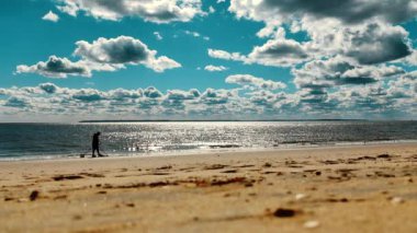 Okyanus Dalgalı Sunny Beach Sahneleri, metal dedektörlü bir adamın silueti kumdaki kayıp şeyleri arıyor..