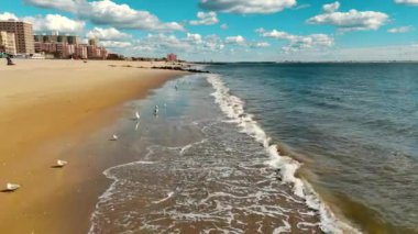 Dalgalar ve Martılarla Sunny Beachfront. Güzel kumlu sahil, kıyı şeridi boyunca yumuşak dalgalar ve martılarla, şehir manzarası ve mavi gökyüzü.