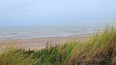 Hollanda 'daki Zandvoort sahilinin kıyı manzarası, kumulları ve uzaktaki sakin denizi olan manzaralı Zandvoort plajı.