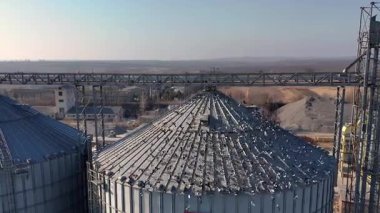 Yüzlerce güvercin sanayi bölgesindeki bir tahıl ambarının çatısında toplandı, panoramik kırsal arka plan açık günışığı ve çelik yapılar altında