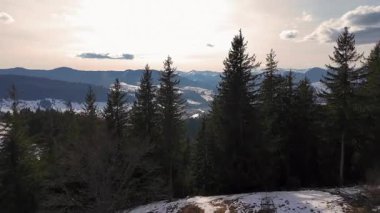 Kış vadisi çam ormanları, karla kaplı dağ köyleri ve yüksek çam ağaçlarının arasından görünen uzak tepeler.