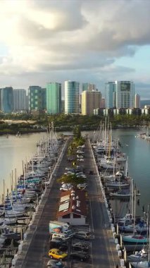 Honolulu 'daki Ala Wai Tekne Limanı, yelkenli tekneli deniz manzaralı marina, yüksek binalı ve yemyeşil renkli modern gökyüzü..